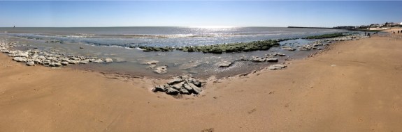 UNADJUSTEDNONRAW_thumb_1a1